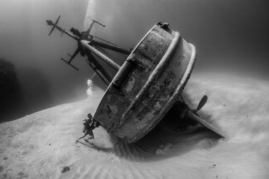 Причудливый мир под водой: показали победителей конкурса подводной фотографии 2018 - 409765 Причудливый мир под водой: показали победителей конкурса подводной фотографии 2018 - фото 409765