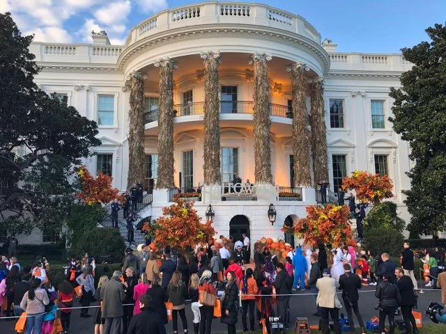Білий дім прикрасили до Хелловіну, і ось, як виглядає будинок Трампів цього року - фото 410360