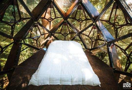 Отель в форме шишки - сказочное сооружение, в котором можно заночевать посреди леса - фото 410460