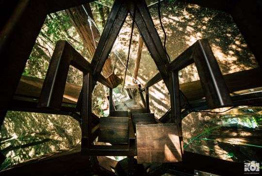 Отель в форме шишки - сказочное сооружение, в котором можно заночевать посреди леса - фото 410466