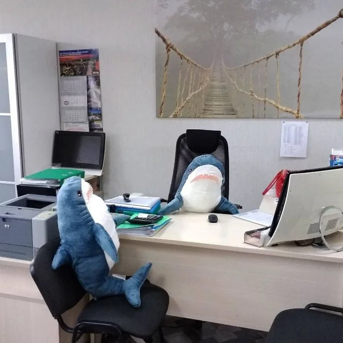 Всі закохались в плюшеву акулу з ІКЕА  та роблять з нею веселі фото - фото 410537