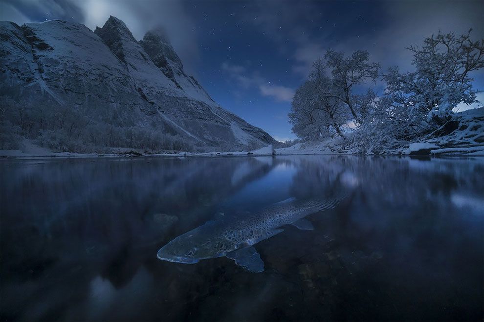 Siena International Photo Awards 2018: переможці конкурсу викличуть в тебе шквал емоцій - фото 411111
