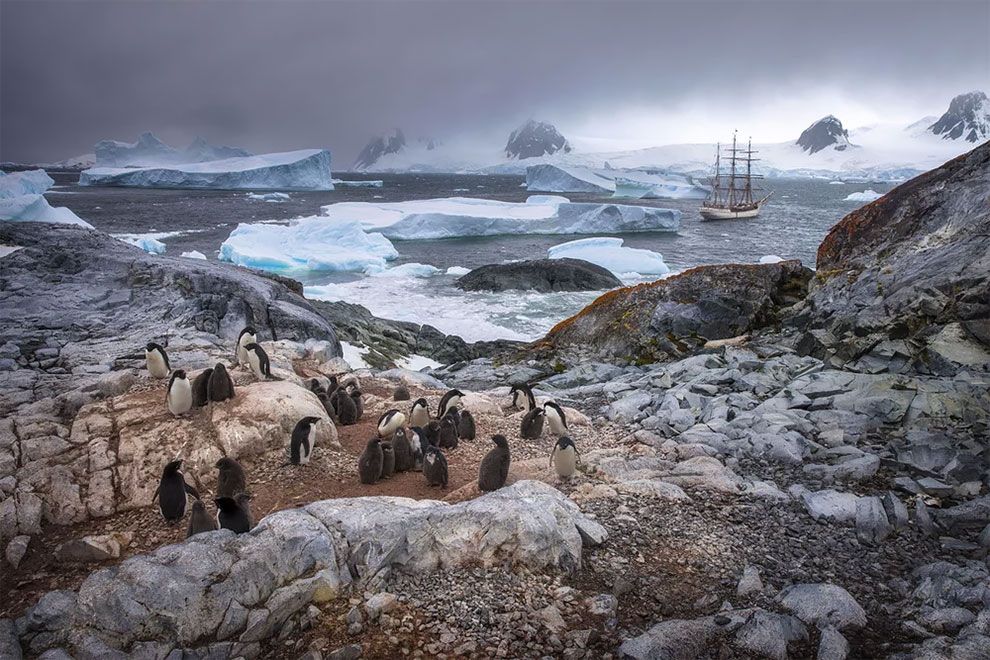 Siena International Photo Awards 2018: переможці конкурсу викличуть в тебе шквал емоцій - фото 411113
