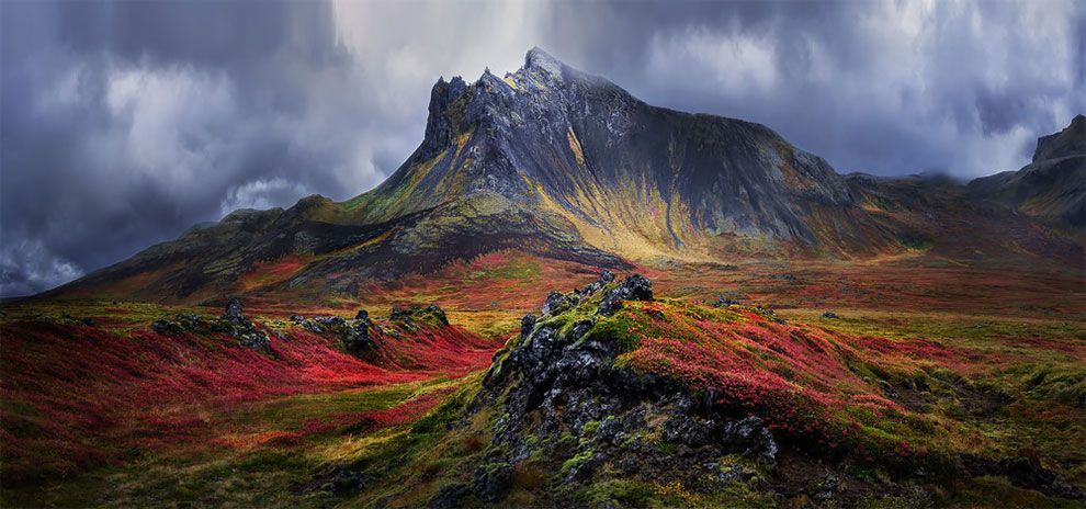 Siena International Photo Awards 2018: переможці конкурсу викличуть в тебе шквал емоцій - фото 411119