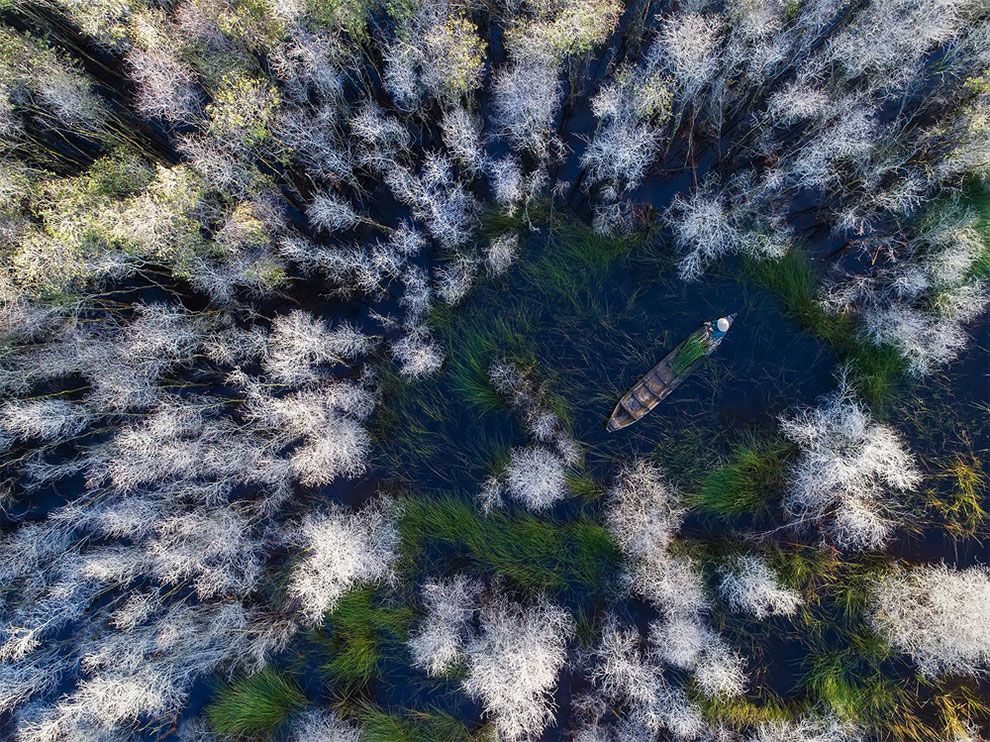 Siena International Photo Awards 2018: переможці конкурсу викличуть в тебе шквал емоцій - фото 411127