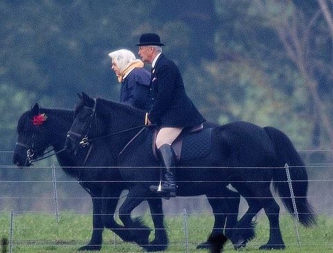 Елизавета II и принц Филипп плевали на старость и наслаждаются катанием верхом - фото 411601