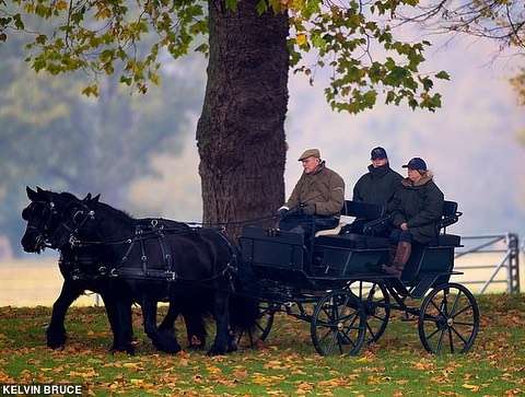 Елизавета II и принц Филипп плевали на старость и наслаждаются катанием верхом - фото 411603