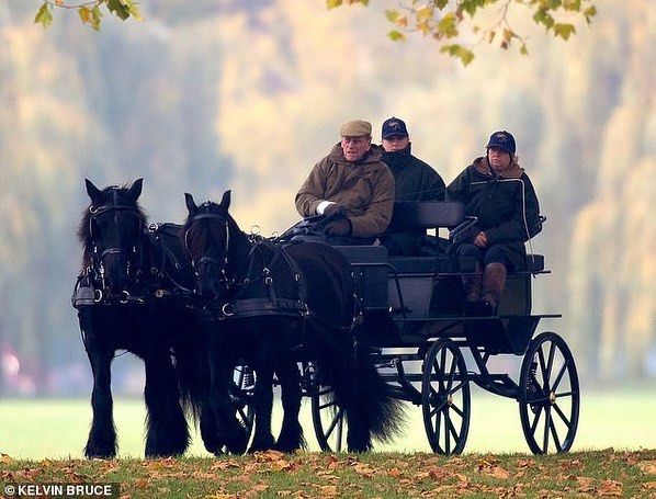 Елизавета II и принц Филипп плевали на старость и наслаждаются катанием верхом - фото 411604
