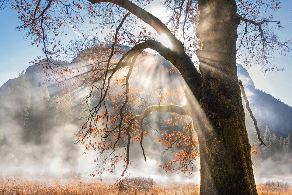 Weather Photographer 2018: у фінал конкурсу потрапив знімок українського фотографа - фото 412577