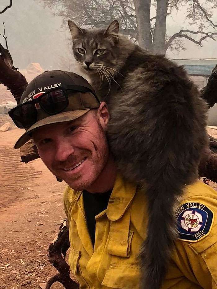 Мужчина спас кота от пожара, а тот теперь не хочет слезать с его ручек - фото 413138