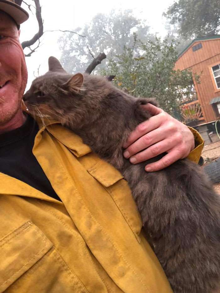 Мужчина спас кота от пожара, а тот теперь не хочет слезать с его ручек - фото 413139