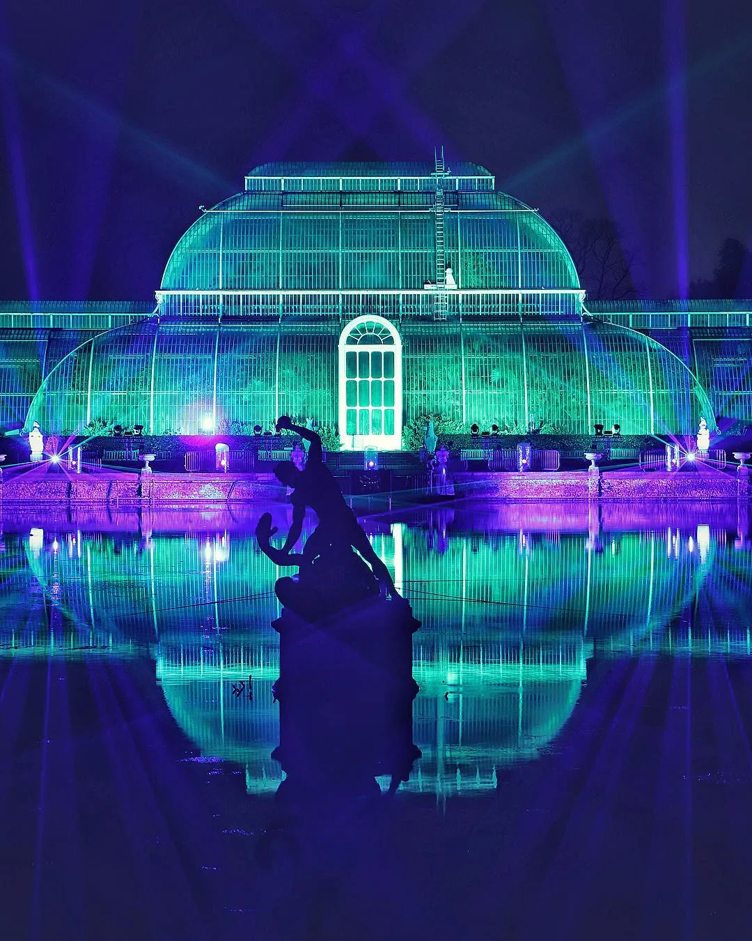 Праздничная иллюминация превратила королевские сады Лондона на магическое место - фото 413309