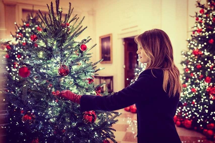 Мелания Трамп постаралась: помпезный праздничный декор Белого дома - фото 413726