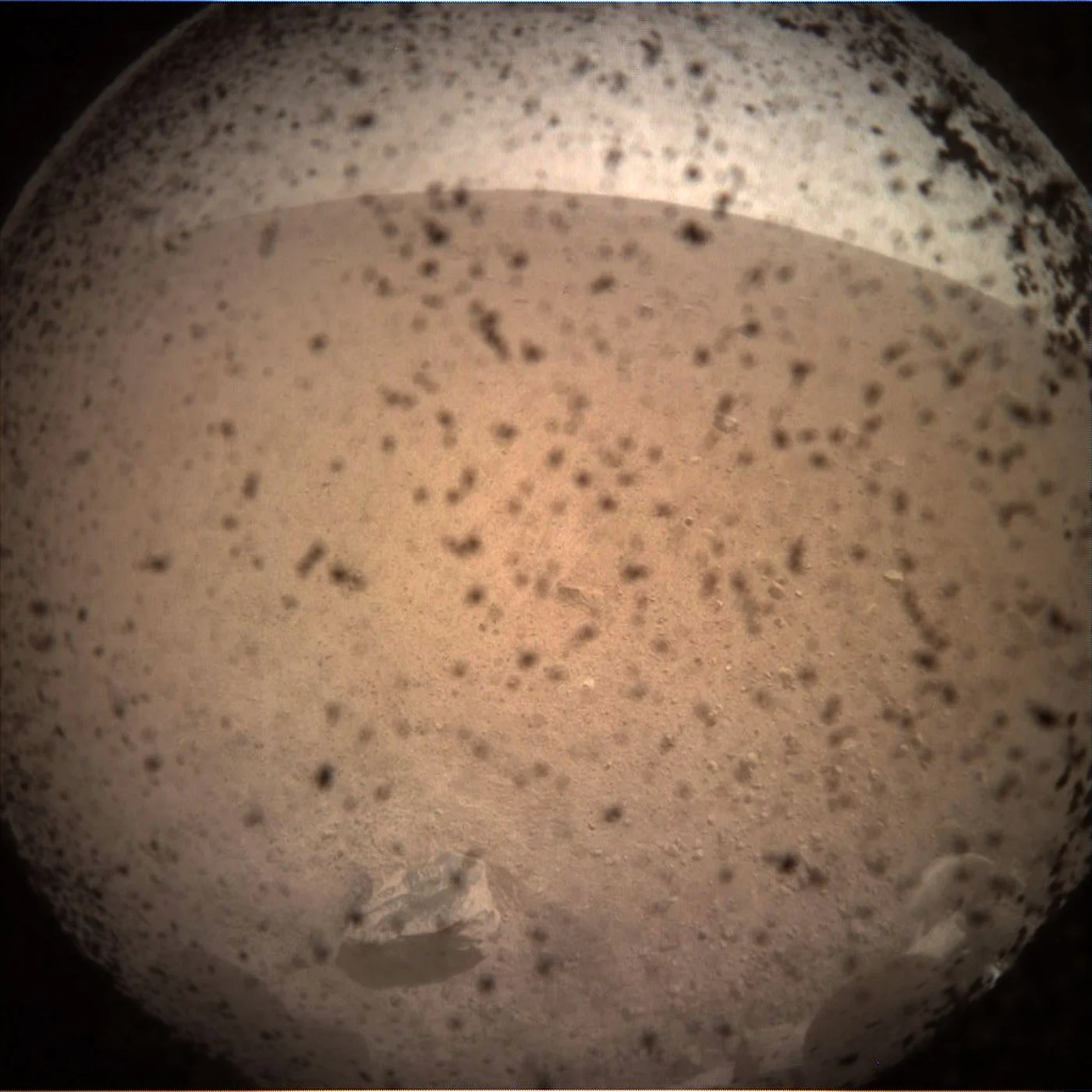 NASA показало первые фото Марса - фото 413924