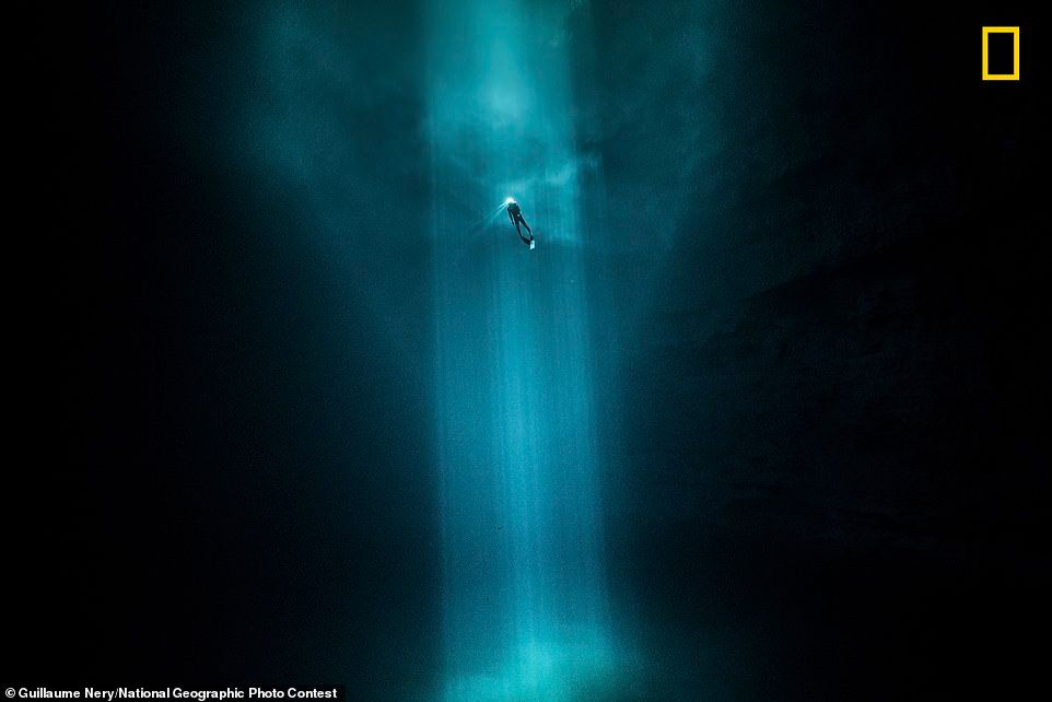 Лучшие снимки National Geographic Photo Contest 2018 - фото, от которых дух захватывает - фото 413947