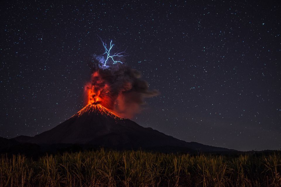 Лучшие снимки National Geographic Photo Contest 2018 - фото, от которых дух захватывает - фото 413960