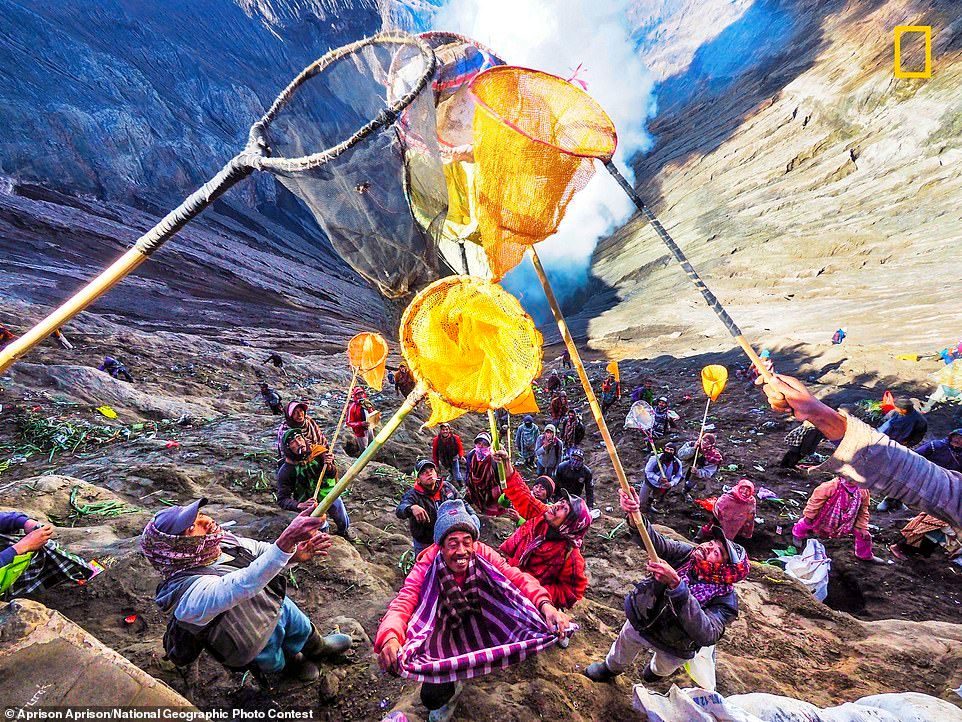 Лучшие снимки National Geographic Photo Contest 2018 - фото, от которых дух захватывает - фото 413966