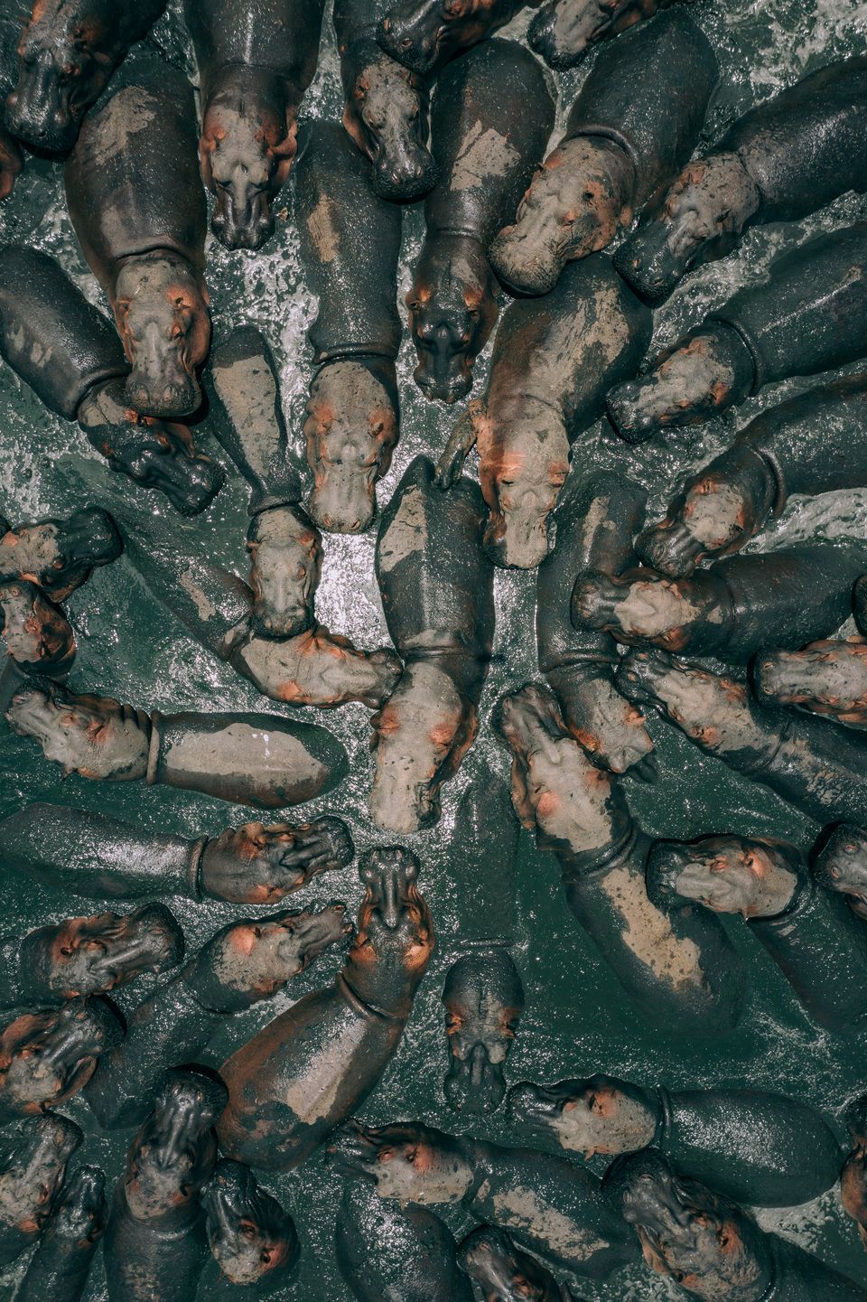 Лучшие снимки National Geographic Photo Contest 2018 - фото, от которых дух захватывает - фото 413967