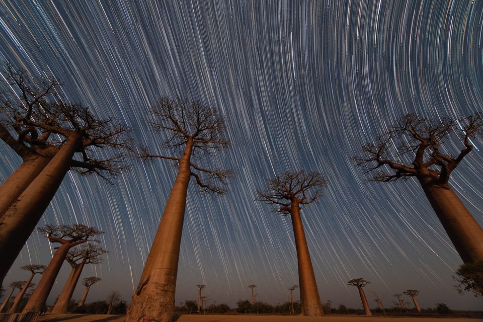 Лучшие снимки National Geographic Photo Contest 2018 - фото, от которых дух захватывает - фото 413969
