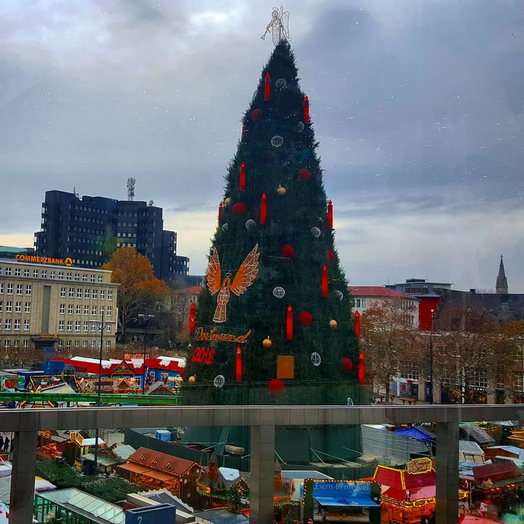У Німеччині встановили найвищу ялинку - ось як виглядає ця різдвяна красуня - фото 414047