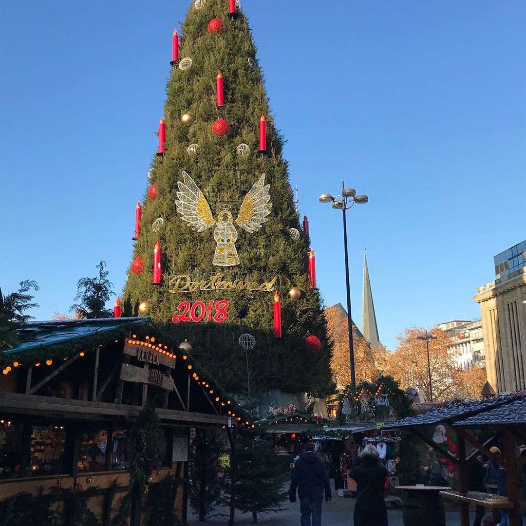 В Германии установили самую высокую елку - вот как выглядит эта рождественская красавица - фото 414048