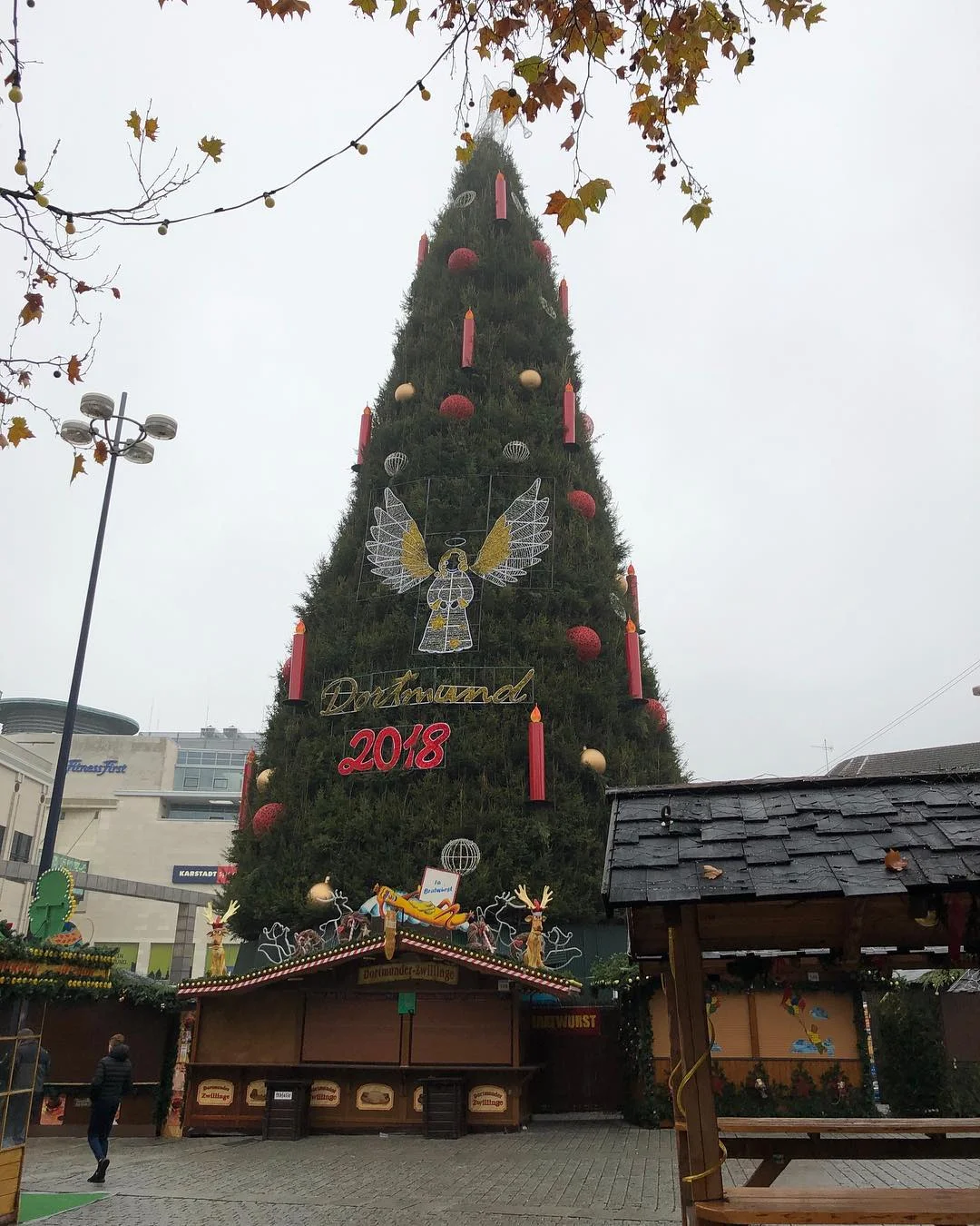В Германии установили самую высокую елку - вот как выглядит эта рождественская красавица - фото 414049