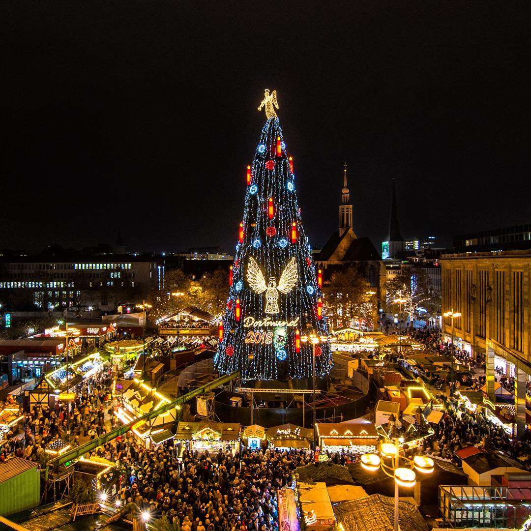 В Германии установили самую высокую елку - вот как выглядит эта рождественская красавица - фото 414050