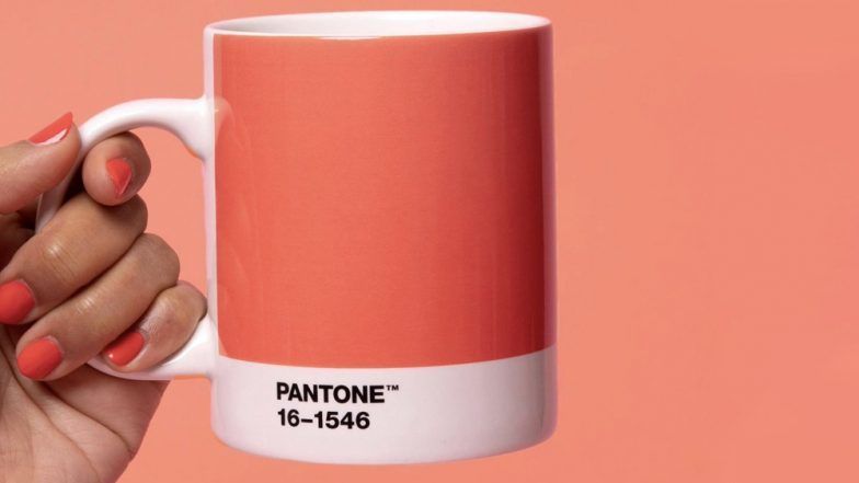 Pantone выбрали самым модным цветом 2019 года 'живой коралловый' - 414675 Pantone выбрали самым модным цветом 2019 года 'живой коралловый' - фото 414675