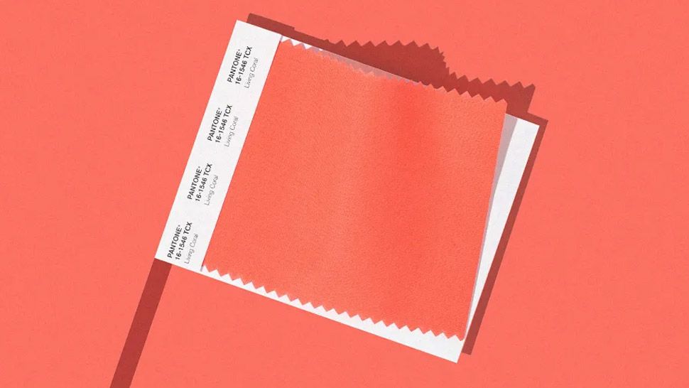 Pantone выбрали самым модным цветом 2019 года 'живой коралловый' - 414678 Pantone выбрали самым модным цветом 2019 года 'живой коралловый' - фото 414678