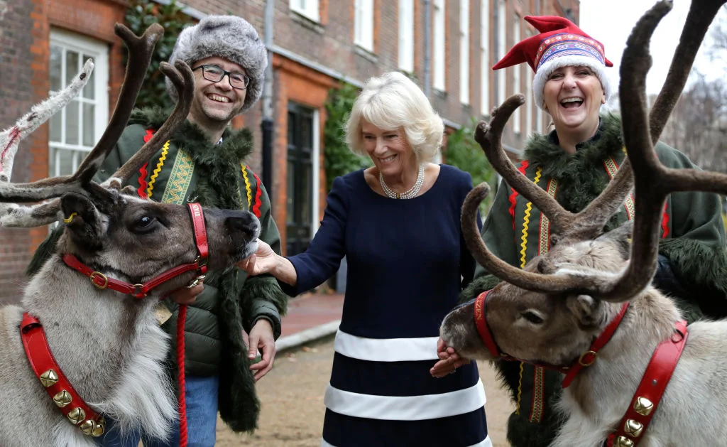 Вот как Елизавета II, Кейт Миддлтон и герцогиня Камилла украсили свои рождественские елки - фото 415184