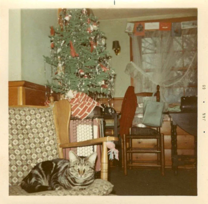 Старые рождественские фото, которые вызывают в душе тепло и ностальгию - фото 415546