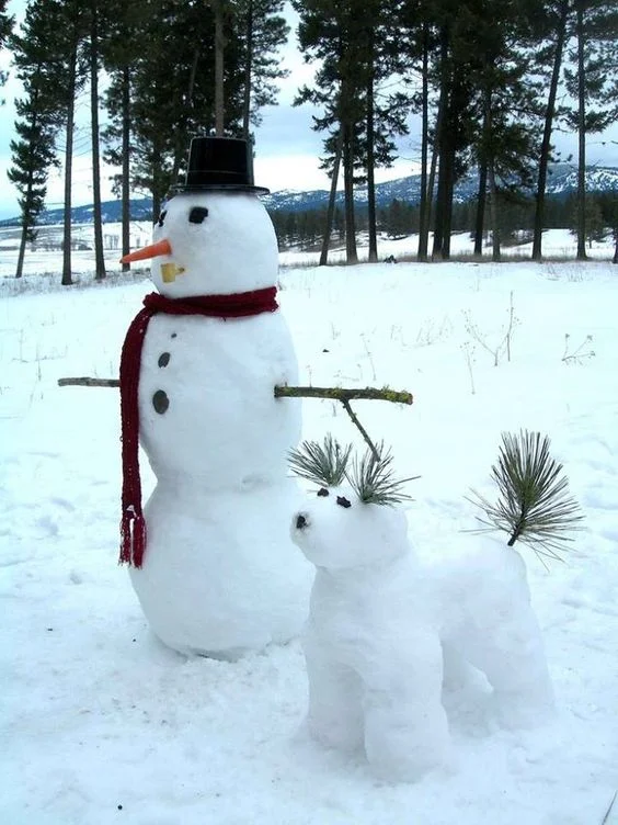 Вспомним детство: прикольные и веселые идеи для лепки снеговиков - фото 415813