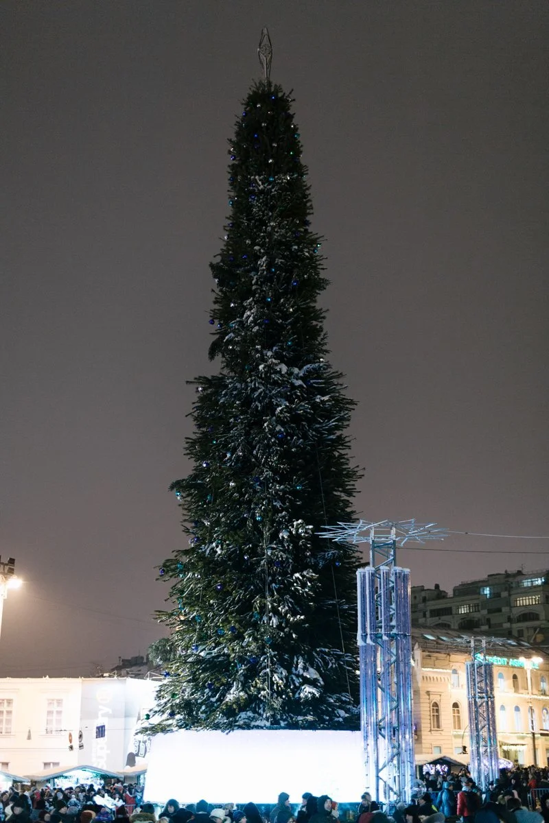 Праздничная красавица: в столице открыли главную елку Украины - фото 416545