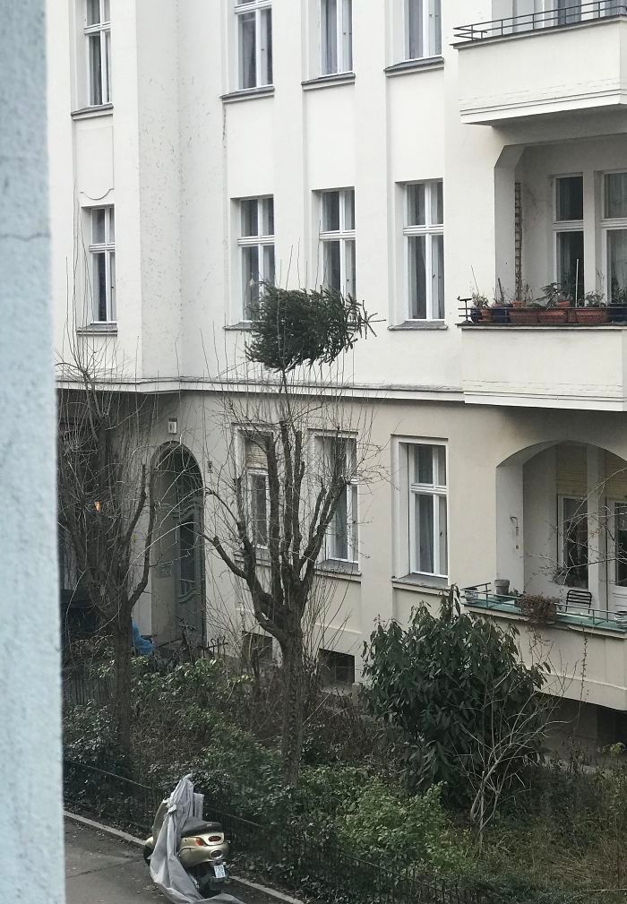 У этих людей праздники не удались, и Рождество точно хуже, чем у тебя - 417285 У этих людей праздники не удались, и Рождество точно хуже, чем у тебя - фото 417285