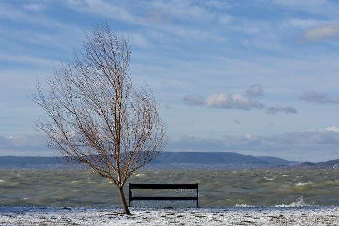 Мороз и ветер превратили озеро Балатон на зимнюю страну чудес - фото 418217