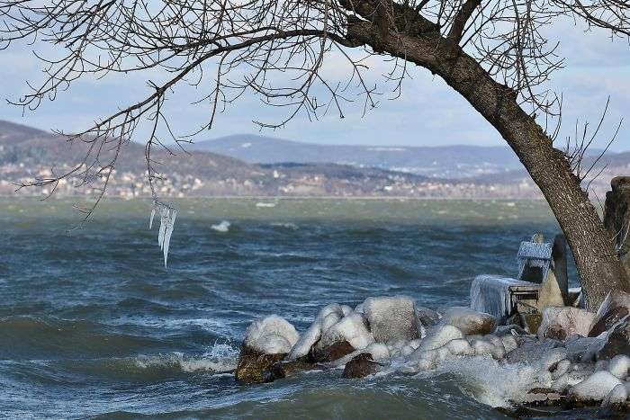 Мороз и ветер превратили озеро Балатон на зимнюю страну чудес - фото 418220