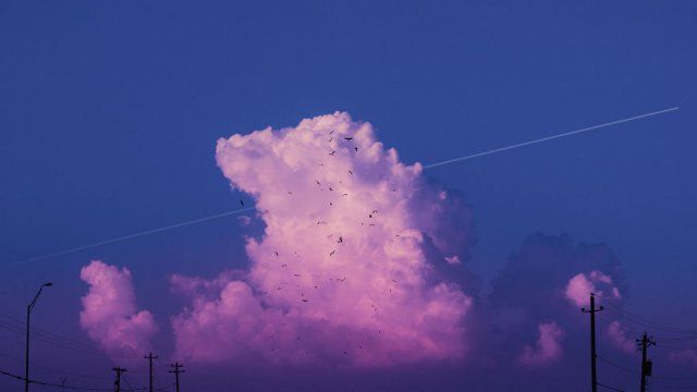Выше голову: эти фото вечернего неба просто изменят твое представление о красоте - 420277 Выше голову: эти фото вечернего неба просто изменят твое представление о красоте - фото 420277