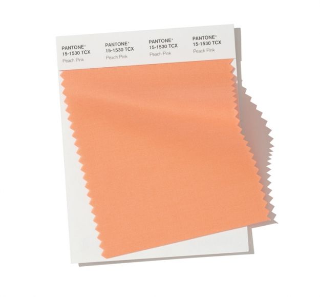 Інститут кольору Pantone назвав основні кольори осені 2019 - фото 421276