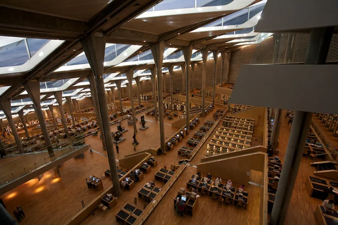 Эти шедевральные библиотеки вдохновят тебя скорее взять книгу в руки - фото 421316