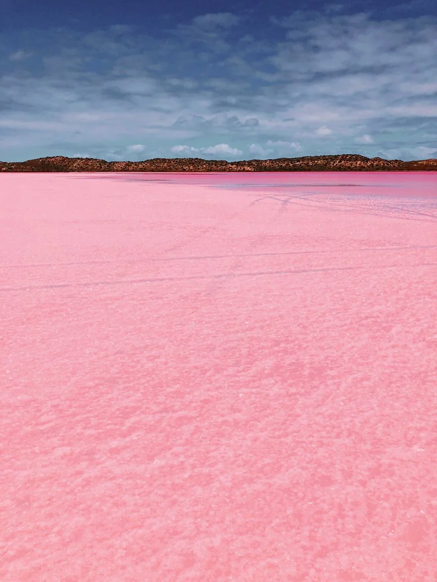 Унікальна рожева лагуна в Австралії виглядає космічно красиво і нереально водночас - фото 423225