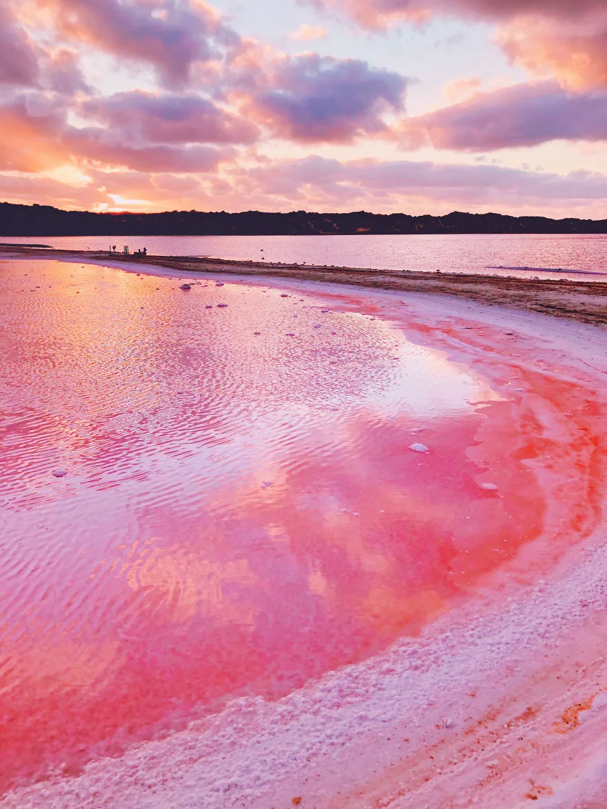 Уникальная розовая лагуна в Австралии выглядит космически красиво и нереально одновременно - фото 423227