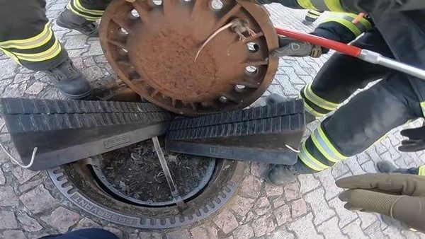 Спасение толстенькой крысы: в Германии провели необычную спасательную операцию (відео) - 423512 Спасение толстенькой крысы: в Германии провели необычную спасательную операцию (відео) - фото 423512