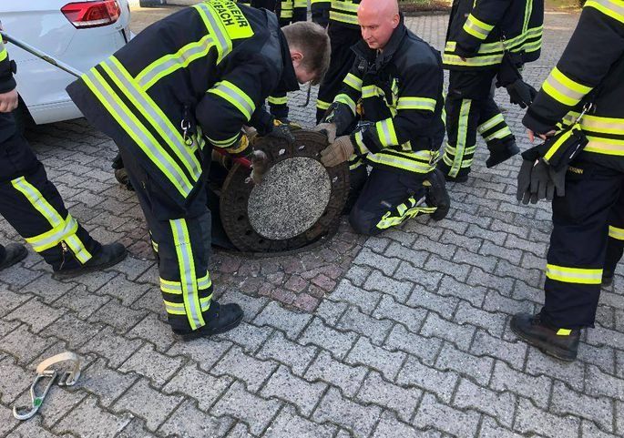 Спасение толстенькой крысы: в Германии провели необычную спасательную операцию (відео) - 423516 Спасение толстенькой крысы: в Германии провели необычную спасательную операцию (відео) - фото 423516