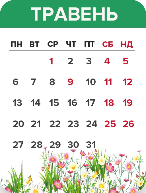 Выходные в мае 2019: сколько выходных будет в Украине - фото 423934