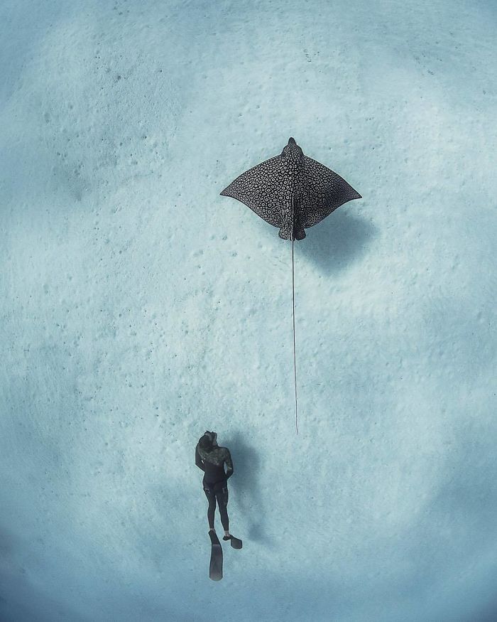 Финалисты Instagram-конкурса National Geographic 2019 - наслаждение для твоих глаз - фото 423974