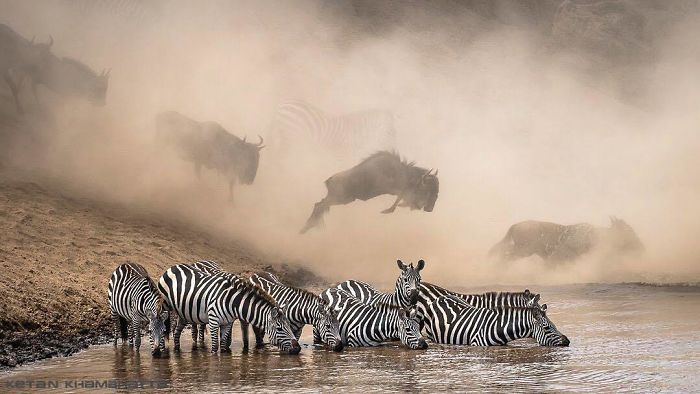 Финалисты Instagram-конкурса National Geographic 2019 - наслаждение для твоих глаз - фото 423975