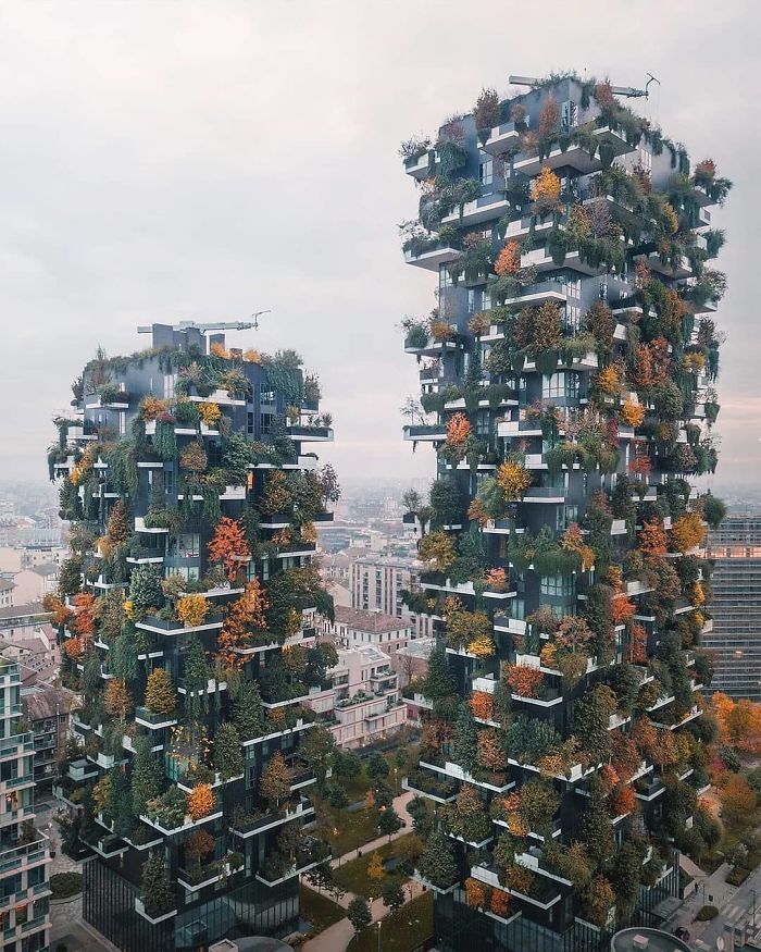 Финалисты Instagram-конкурса National Geographic 2019 - наслаждение для твоих глаз - фото 423980