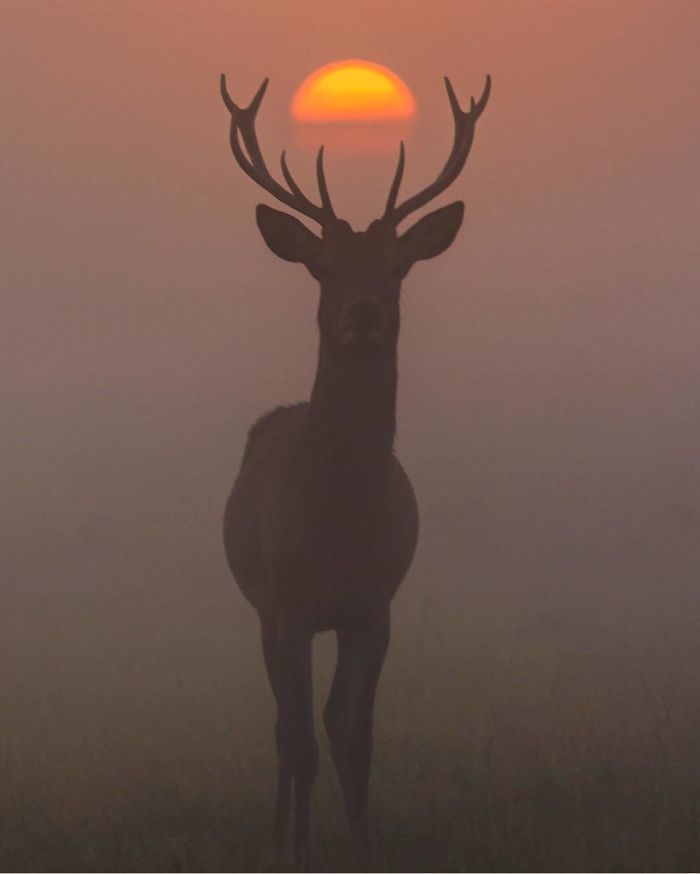 Финалисты Instagram-конкурса National Geographic 2019 - наслаждение для твоих глаз - фото 423982