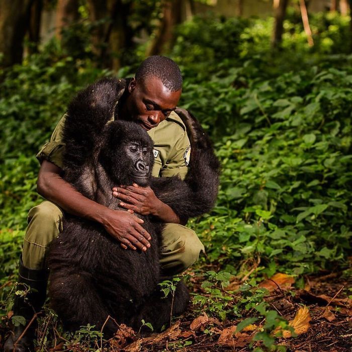 Финалисты Instagram-конкурса National Geographic 2019 - наслаждение для твоих глаз - фото 423983
