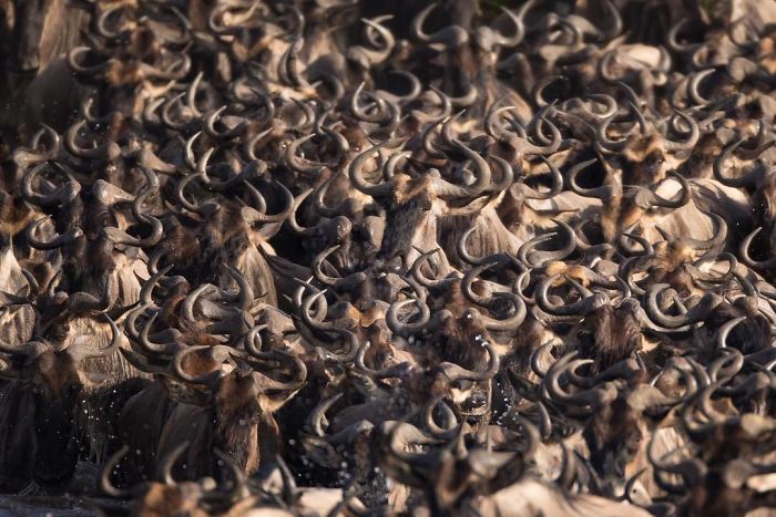 Финалисты Instagram-конкурса National Geographic 2019 - наслаждение для твоих глаз - фото 423984